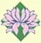 hoa sen